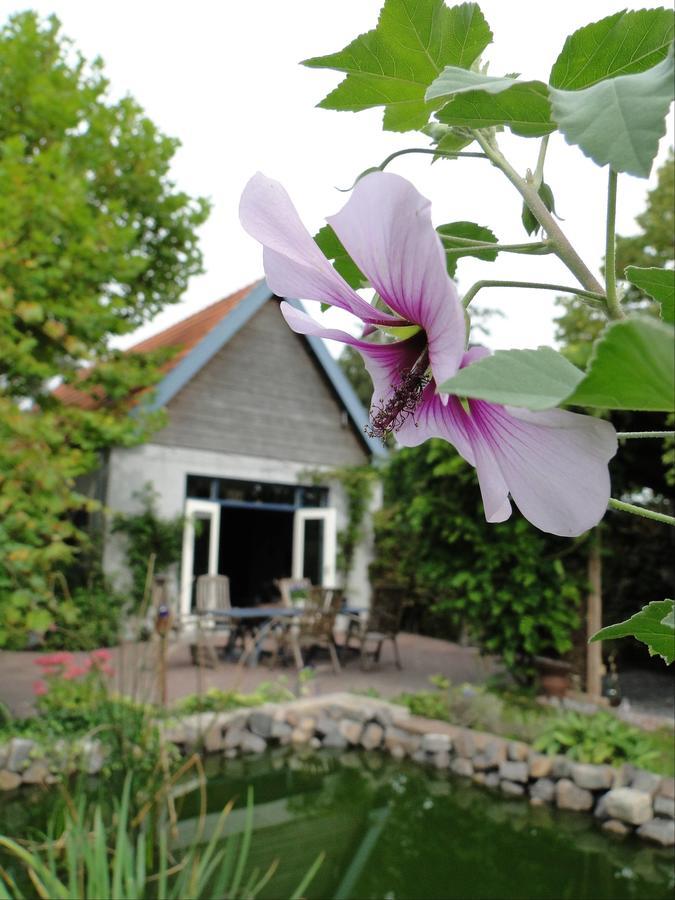 B&B De Lotus Hoevelaken Esterno foto